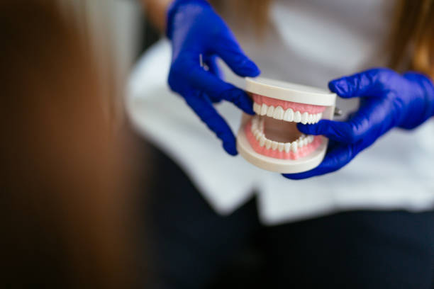 Best Traditional Braces  in Pebble Creek, FL